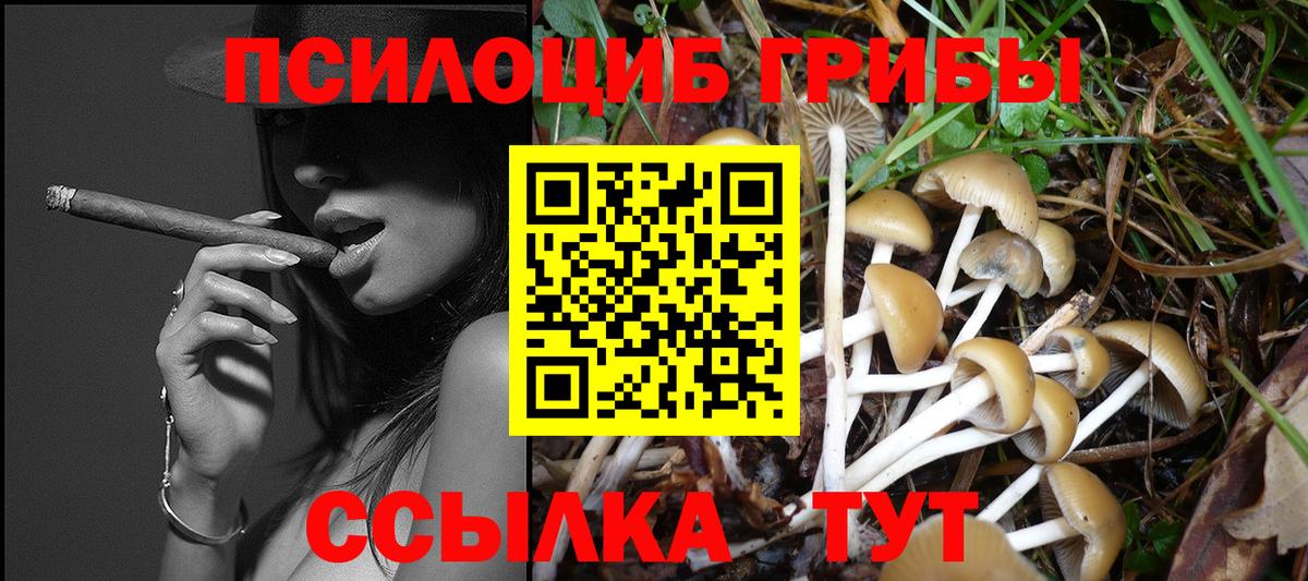 Галлюциногенные грибы Cubensis Десногорск
